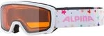 ALPINA SCARABEO JR. - Beschlagfreie, Extrem Robuste & Bruchsichere OTG Skibrille Mit