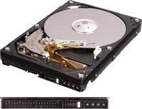 Western Digital WD2500AAJB Blue 250GB interne Festplatte (8,9 cm (3,5 Zoll)...