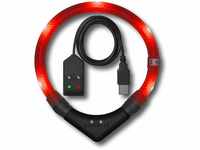 LEUCHTIE® Leuchthalsband Easy Charge für Hunde, USB aufladbar, wasserdichtes...
