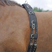 BUSSE Longiergurt Profi-Soft