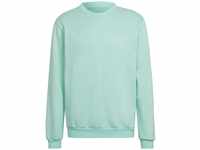 adidas HC5047 ENT22 SW TOP Sweatshirt Men's Clear Mint M