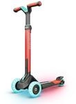 BERG Nexo Kinderroller Kinderscooter faltbar ab 2 Jahre | H&ouml;henverstellbarer
