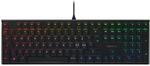 CHERRY MX 10.0N RGB, Panordisches Layout, QWERTY Tastatur, kabelgebundene Tastatur,