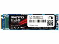Mega Fastro SSD 1TB MS300 Series PCI-Express NVMe intern bis zu 7.000 MB/s Lesen