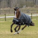 Bucas Anniversary Turnout 50 SF Decke schwarz, Kin18_19_Gr.:5'6/125