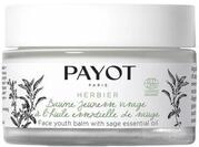 PAYOT Herbier Baume Jeunesse Visage, 50 ml