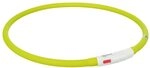 TRIXIE Leuchtring f&uuml;r Hunde XS-XL gr&uuml;n &ndash; Leuchtendes Hundehalsband, ideal f&uuml;r