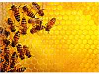 Ravensburger Challenge Puzzle 17362 Bienen - 1000 Teile Puzzle für Erwachsene und