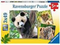 Ravensburger Kinderpuzzle - 05666 Panda, Tiger und Löwe - 3x49 Teile Puzzle für