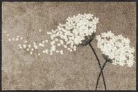 Salonloewe Wishful Blossom waschbar 050 x 075 cm Fu&szlig;abtreter innen und au&szlig;en