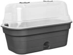 elho Green Basics Anzucht Schale Allin1 39 - Anzuchtset - 100% recyceltes Plastik -