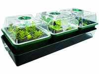 Bio Green Pflanzen-Anzucht-Set „Hollandia für die Fensterbank | 3 Separate