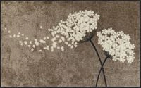 Salonloewe Fu&szlig;matte waschbar Wishfull Blossom Taupe 75x120 cm L&auml;ufer