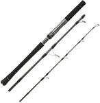 Hearty Rise Skywalker Jigging Spin 1,63m 220g Rute - Reiserute zum Hochseeangeln,