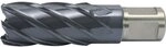 Alfra 1902050050 Kernbohrer 50/50mm aus Hss-Co Rqx-STAHL
