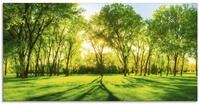 ARTland Wanddeko Glasbilder Wandbild Glas Bild einteilig 100x50 cm Querformat...