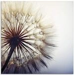 ARTland Wanddeko Glasbilder Wandbild Glas Bild einteilig 40x40 cm Quadratisch Natur
