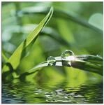 ARTland Wanddeko Glasbilder Wandbild Glas Bild einteilig 40x40 cm Quadratisch Natur