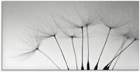 ARTland Wanddeko Glasbilder Wandbild Glas Bild einteilig 100x50 cm Querformat...