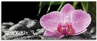ARTland Wanddeko Glasbilder Wandbild Glas Bild einteilig 125x50 cm Querformat...