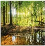 ARTland Wanddeko Glasbilder Wandbild Glas Bild einteilig 50x50 cm Quadratisch Wald