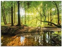 ARTland Wanddeko Glasbilder Wandbild Glas Bild einteilig 80x60 cm Querformat Wald