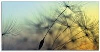 ARTland Wanddeko Glasbilder Wandbild Glas Bild einteilig 60x30 cm Querformat...