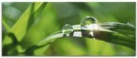 ARTland Wanddeko Glasbilder Wandbild Glas Bild einteilig 125x50 cm Querformat...