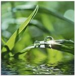 ARTland Wanddeko Glasbilder Wandbild Glas Bild einteilig 50x50 cm Quadratisch...