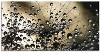 ARTland Wanddeko Glasbilder Wandbild Glas Bild einteilig 60x30 cm Querformat...