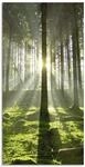 ARTland Wanddeko Glasbilder Wandbild Glas Bild einteilig 30x60 cm Hochformat...