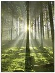 ARTland Wanddeko Glasbilder Wandbild Glas Bild einteilig 60x80 cm Hochformat...