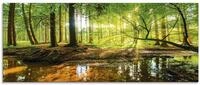 ARTland Wanddeko Glasbilder Wandbild Glas Bild einteilig 125x50 cm Querformat Wald