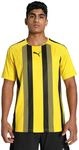 PUMA Herren Shirt, ,