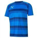 PUMA Herren Teamvision Jersey Shirt, Farbe: Electric Blue Lemonade-limoges-puma