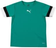 PUMA Unisex Kinder Teamrise Jersey Jr Shirt, Pepper Green-puma Black-puma White, 152