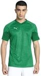 Puma Herren Teamcup Training Jersey Performance Tee