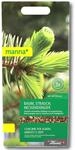 Manna Baum, Strauch, Heckend&uuml;nger 2 kg