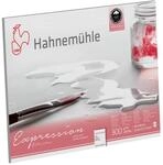 Hahnem&uuml;hle Expression, mattes Aquarellpapier, 300 g/m&sup2;, 30x40 cm, 100%...