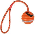 TRIXIE TX-33724 Wavy Ball on a Rope, Natural Rubber 6/30 cm