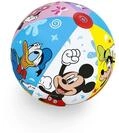20"/51cm Beach Ball