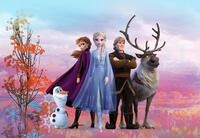 Komar Disney Fototapete FROZEN ICONIC - Gr&ouml;&szlig;e 368 x 254 cm (Breite x H&ouml;he), Anna,