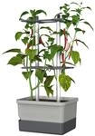 GUSTA GARDEN Charly Chili Chilitopf - Pflanzentopf mit Rankhilfe,...