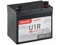 Accurat Motorradbatterie U1R- 12V, 30Ah, 320A, AGM, 30% mehr Kapazität,...