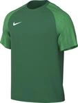 Nike DH8031-302 M NK DF ACADEMY JSY SS T-Shirt Herren Pine Green/Hyper...