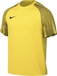 Nike DH8031-719 M NK DF ACADEMY JSY SS T-Shirt Herren Tour Yellow/Black/Black...