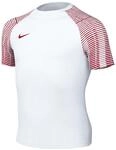Nike DH8369-100 Y NK DF ACADEMY JSY SS T-Shirt Unisex White/University RED/University