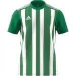 adidas Performance Striped 21 Trikot Kurzarm gruenweiss, S Herren