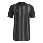 Adidas Striped 21 T-Shirt Black/Tmdrgr S