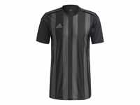 Adidas Herren Striped 21 T-Shirt, Black/Tmdrgr, S